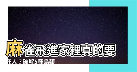 麻雀入屋|【家裡飛進麻雀】家裡飛進麻雀是什麼徵兆？進宅代表好事還是壞。